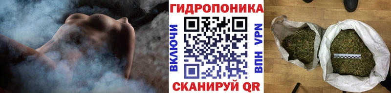 купить закладку  Куйбышев  Каннабис OG Kush 
